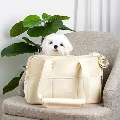 Chaise sac de transport pour chien