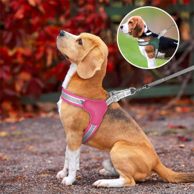 chien harnais rose