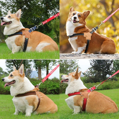 Harnais pour chien réfléchissant rouge, sangles à clip et anneau D, sur chien
