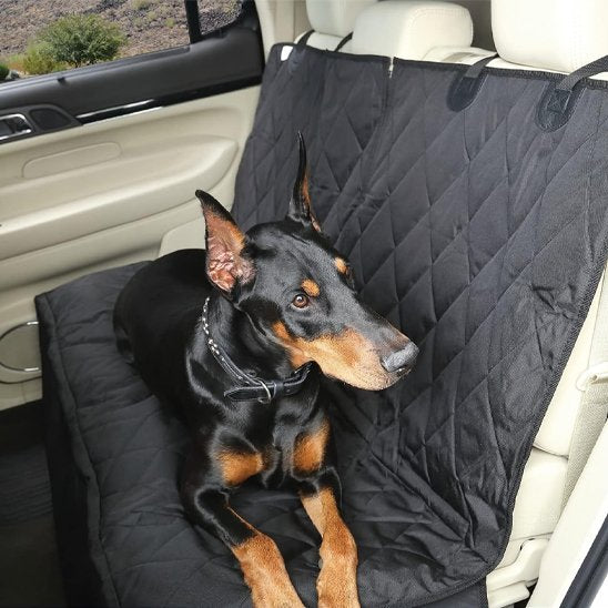 Protège-siège chien voiture noir matelassé à losanges, banquette arrière, sangles visibles