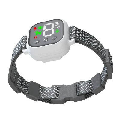 collier anti aboiement gris