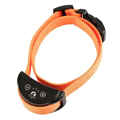 Collier anti aboiement petit chien orange