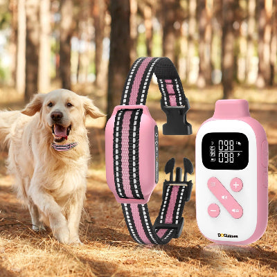 Collier anti aboiement pour chien golden