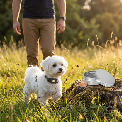 Collier anti-puce pour chien noir avec boîtier rond amovible