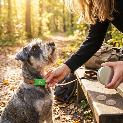 Collier anti-puce pour chien vert avec boîtier amovible sur le collier