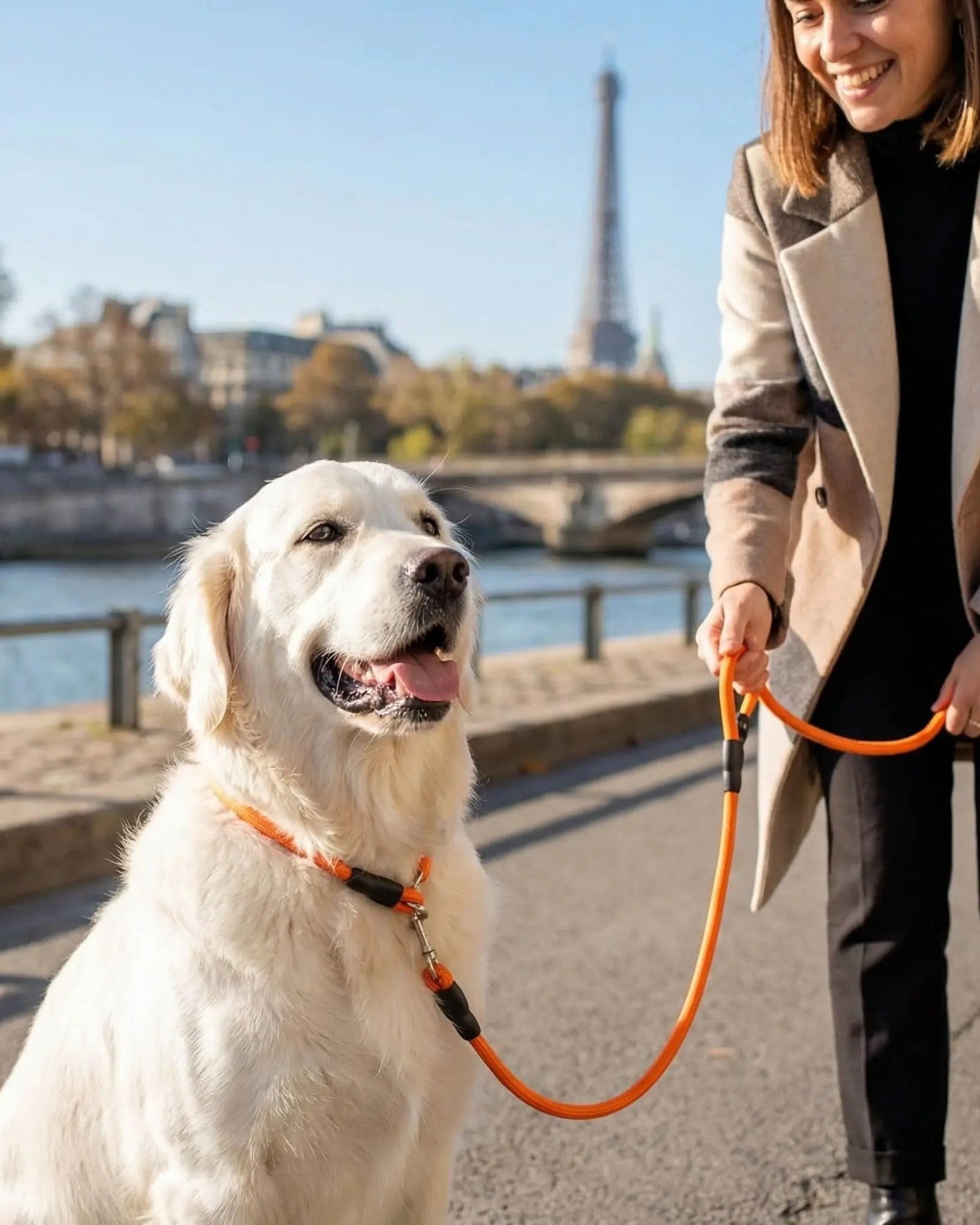 Collier pour chien orange, sangle réglable et anneau métallique