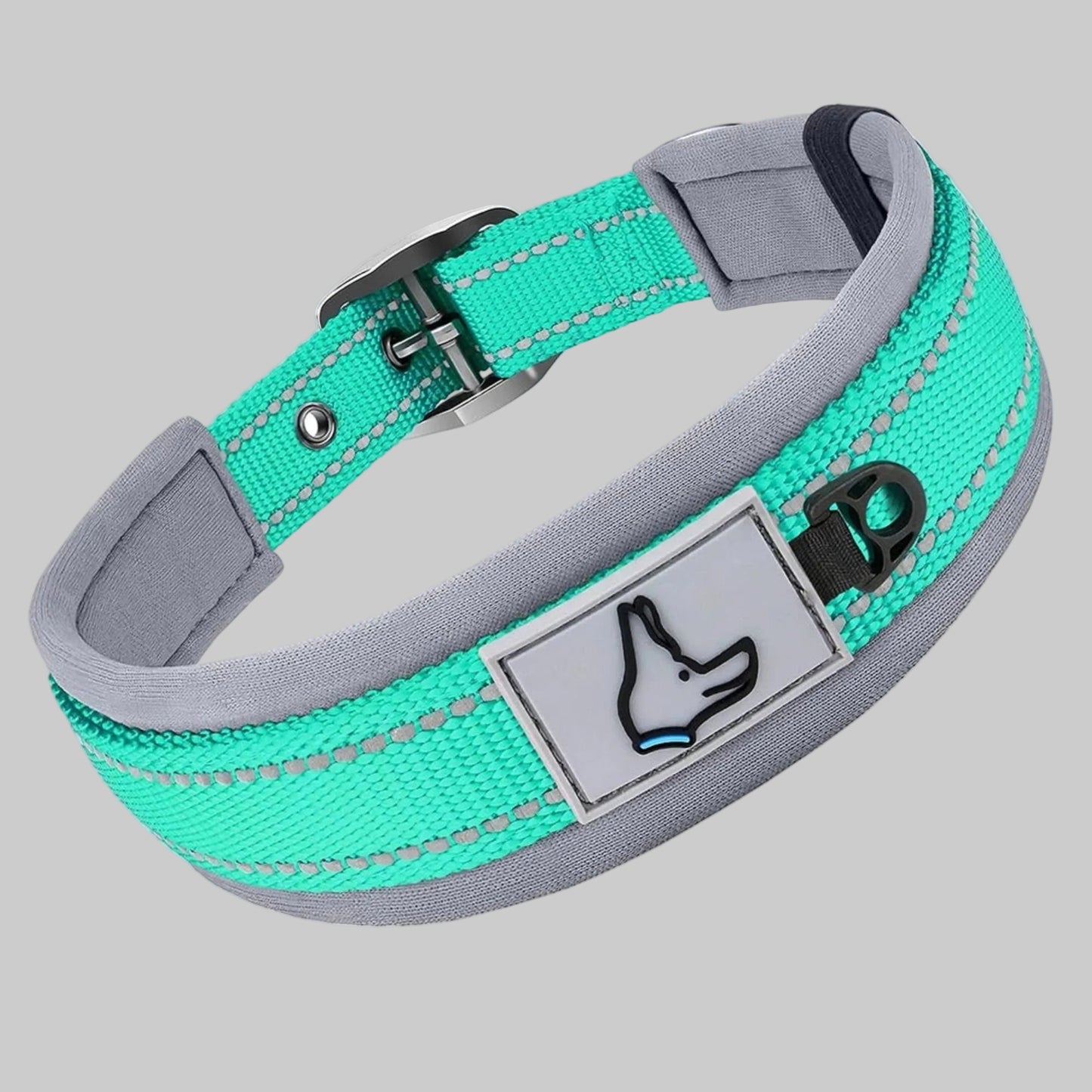 Collier pour chien en néoprène rembourré turquoise/vert d’eau, boucle noire et patte