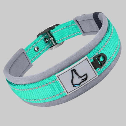 Collier pour chien en néoprène rembourré turquoise/vert d’eau, boucle noire et patte