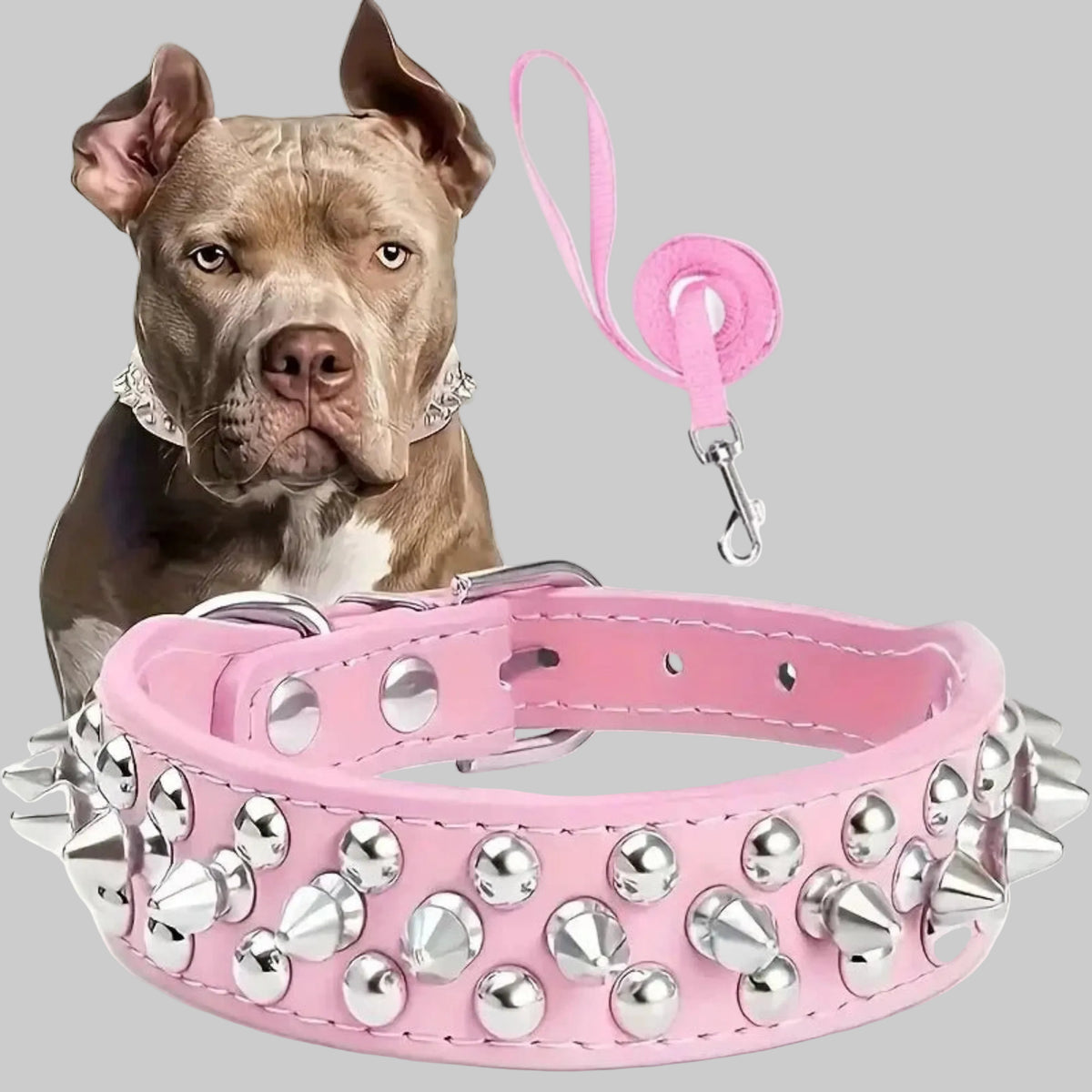 Collier pour chien punk en cuir rose à clous métalliques, fermeture à mousqueton
