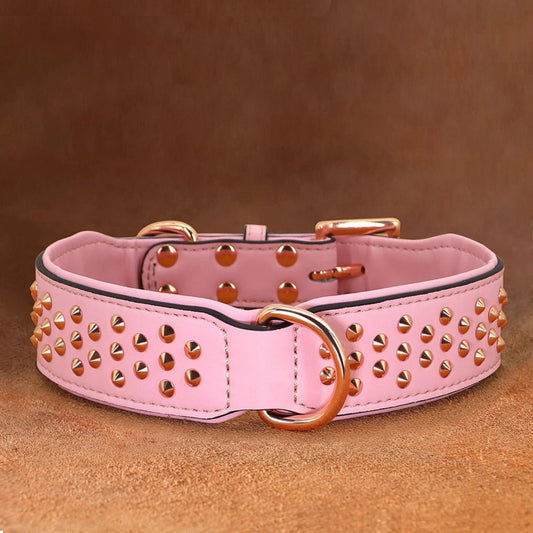 Collier chien clouté rosse en cuir sur table magnifique