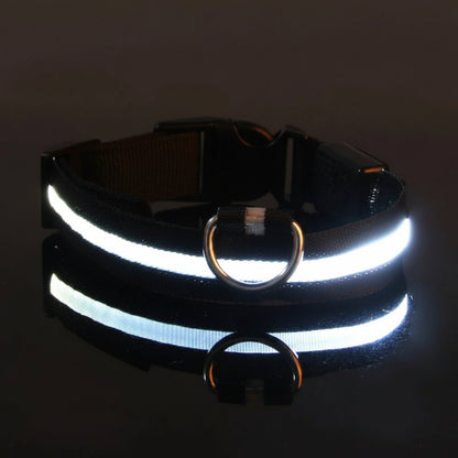 Collier LED pour chien noir, anneau en D et bande lumineuse allumée.