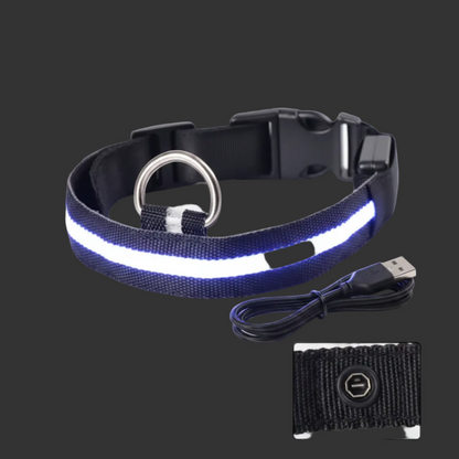 collier chien rechargeable  usb