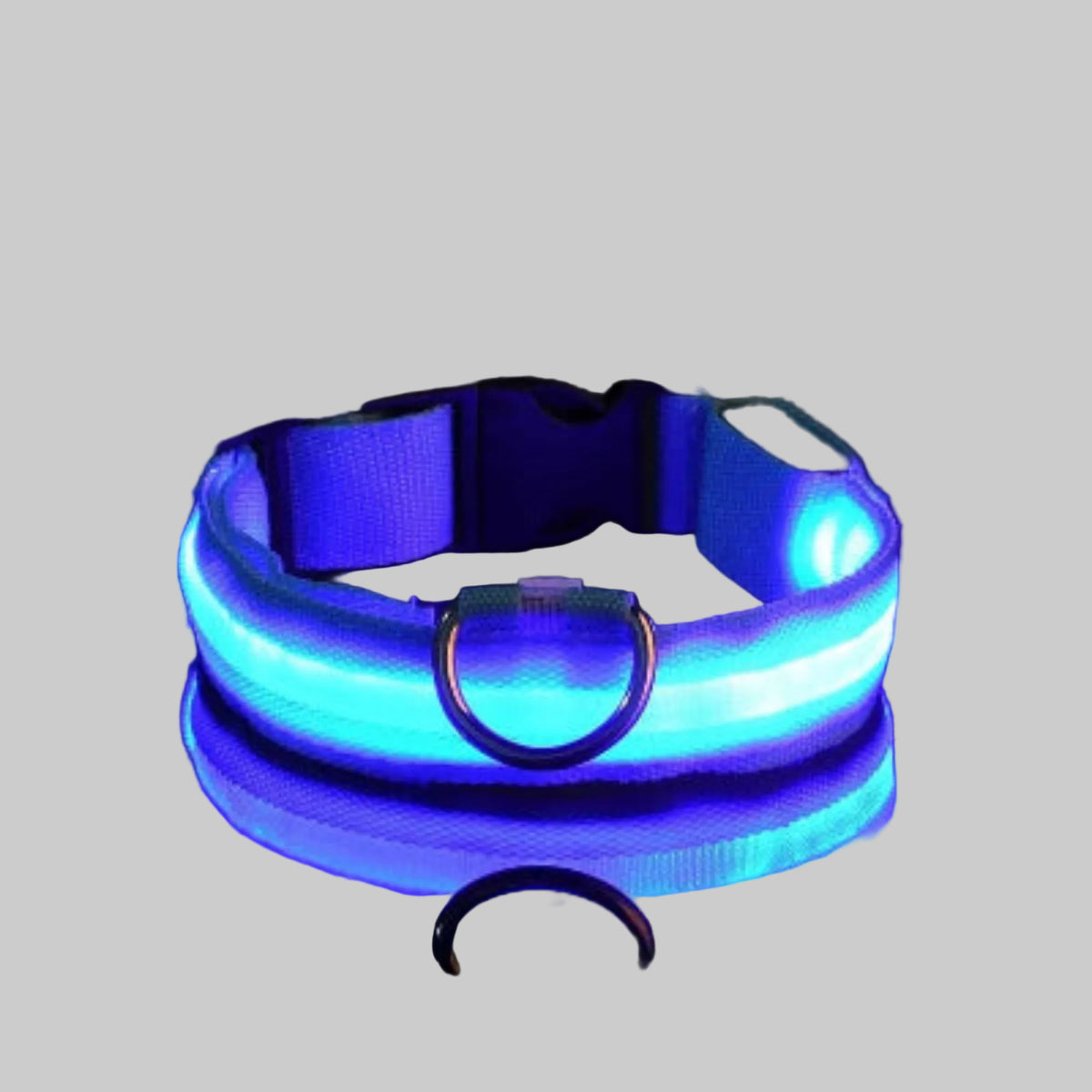 Collier lumineux pour chien bleu à LED, col et boucle en métal