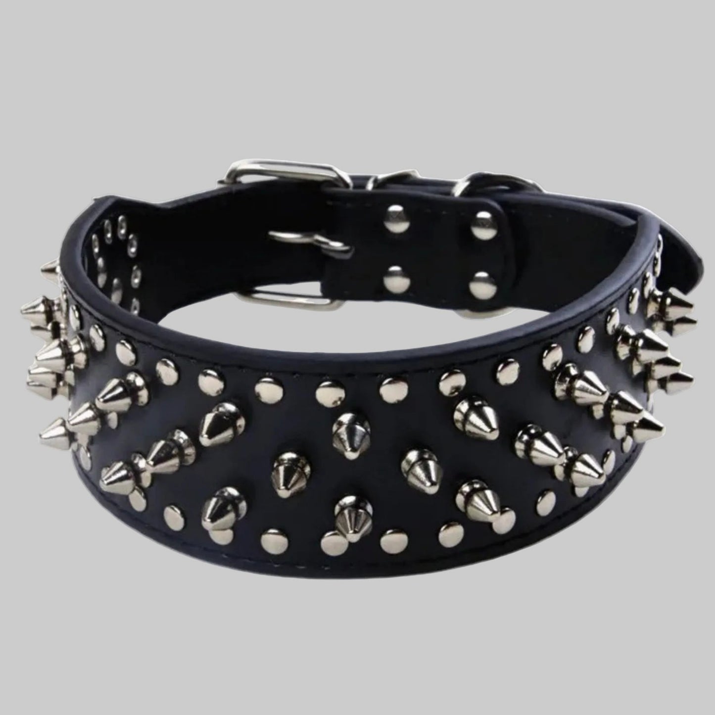 Collier chien noir en démonstration