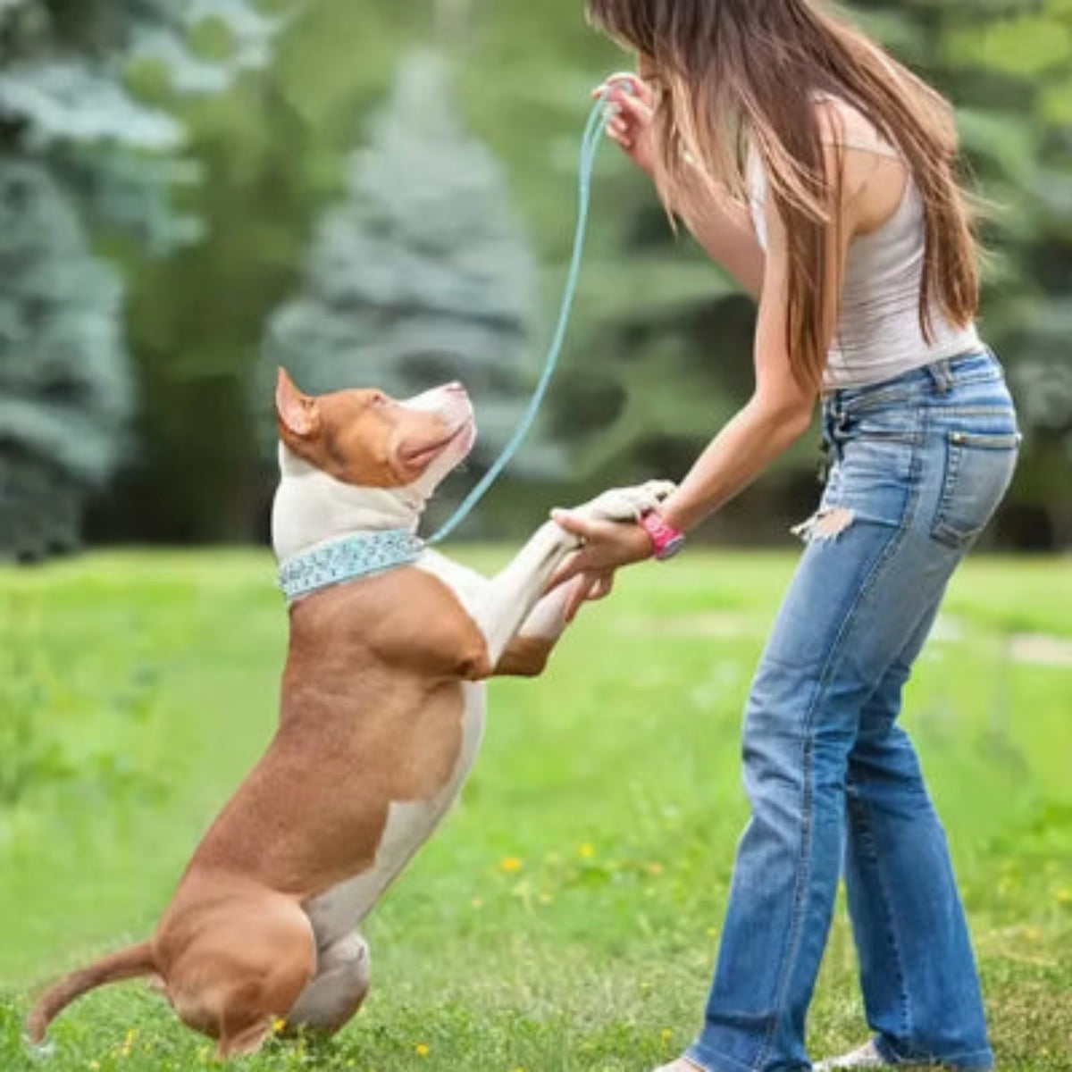 Collier punk pour chien à motifs bleus, lanière claire, fermeture à boucle