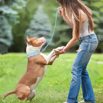 Collier punk pour chien à motifs bleus, lanière claire, fermeture à boucle
