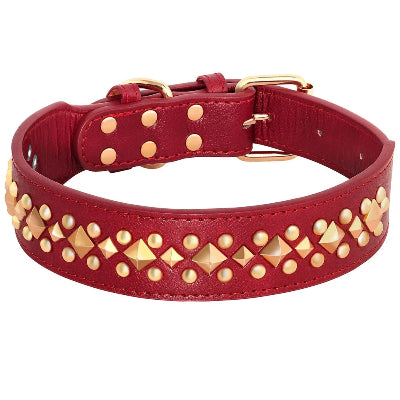 collier chien rouge cloute