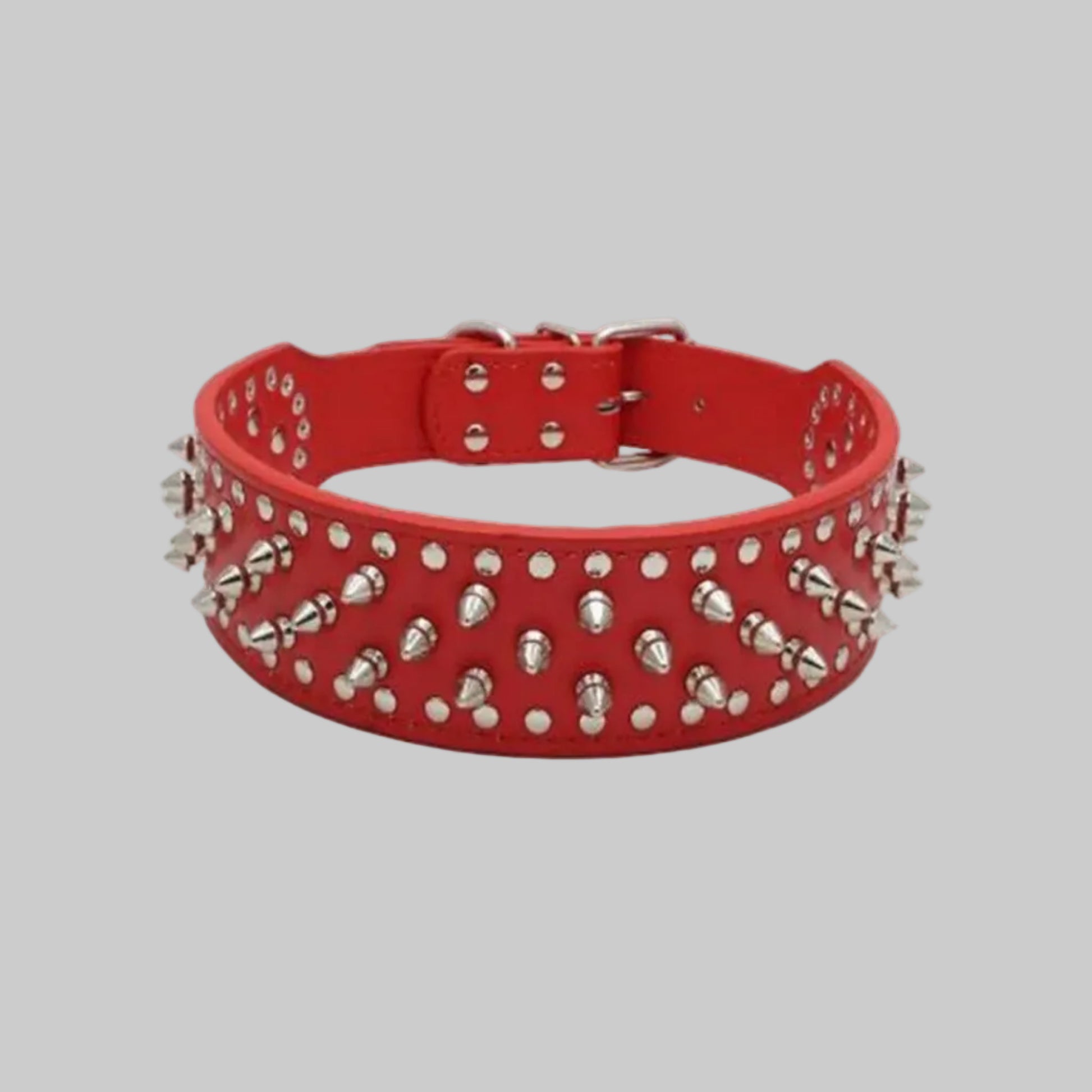 Collier chien rouge en démonstration