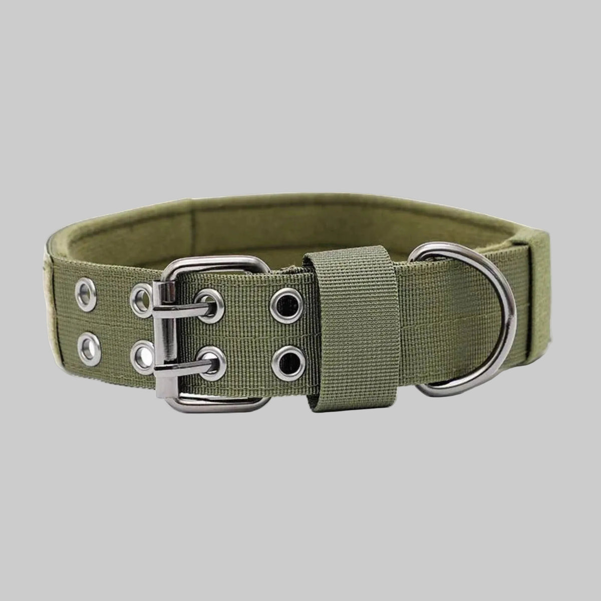 Collier chien tactique pro vert