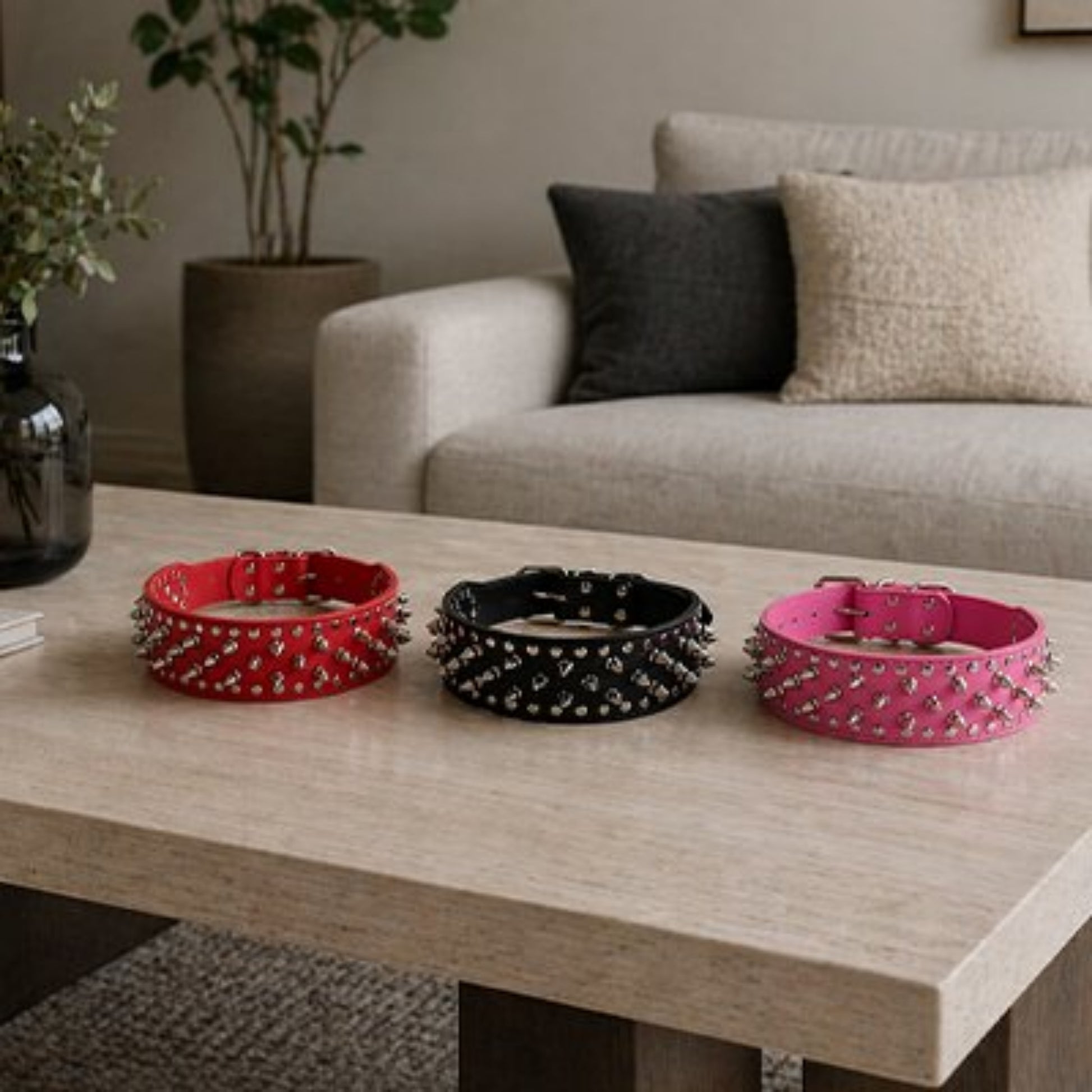 Collier Chien trois couleur sur la table 