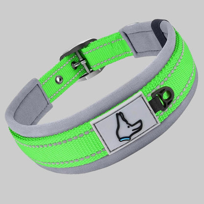 Collier pour chien en néoprène rembourré vert fluo, boucle noire et patte décorative