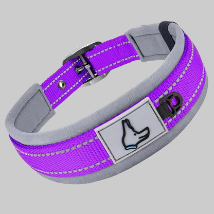 Collier pour chien en néoprène rembourré violet, boucle noire et patte décorative