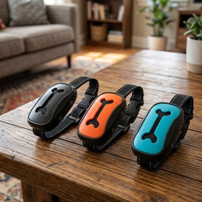 Lot de colliers de dressage rechargeables noirs, modules bleu, orange et gris