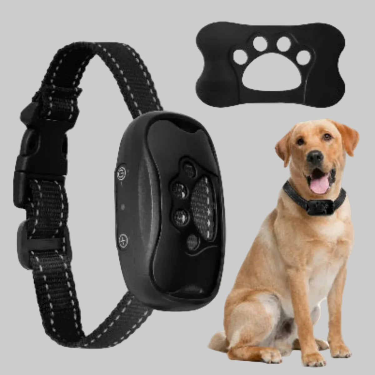 Collier de dressage pour chien à sangle noire et boîtier noir
