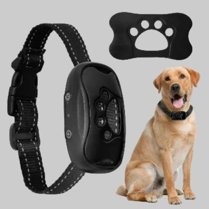 Collier de dressage pour chien à sangle noire et boîtier noir