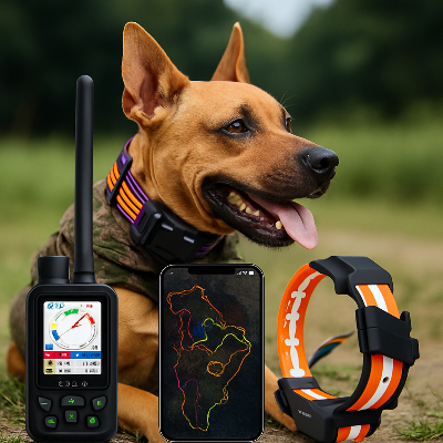 Collier GPS chien chasse en action
