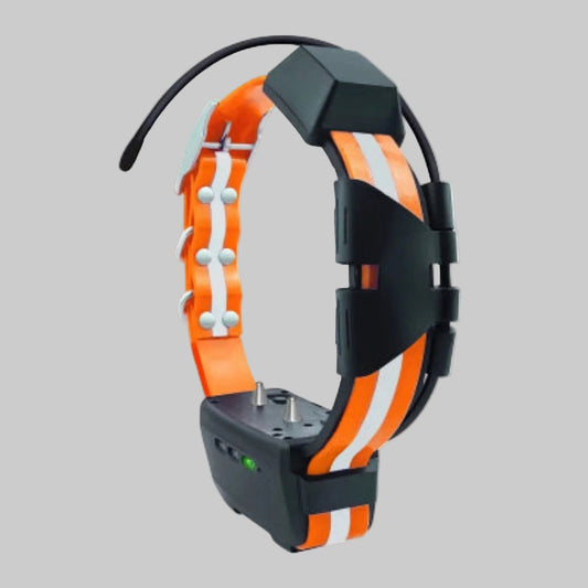Collier GPS pour chien orange et noir, vue rapprochée avec bracelet et attache.