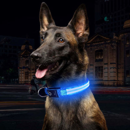 Collier lumineux pour chien bleu allumé, sangle noire avec bande LED autour du cou