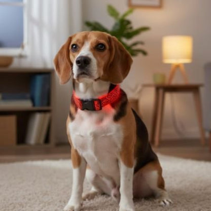 Collier lumineux pour chien rouge, tour de cou à boucle avec lumière