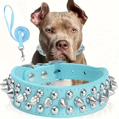 collier pour chien bleu ciel seul
