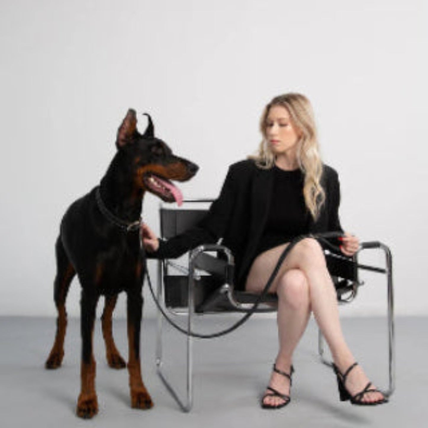 Collier en cuir noir pour chien, col ajustable avec boucle et anneau
