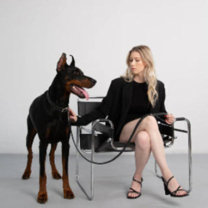 Collier en cuir noir pour chien, col ajustable avec boucle et anneau