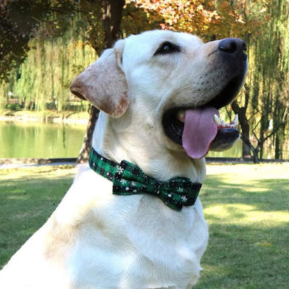 Collier pour chien à nœud vert à motifs étoiles, sur col noir.