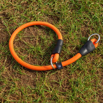 Collier pour chien orange en sangle noire, anneau et boucle, gros plan