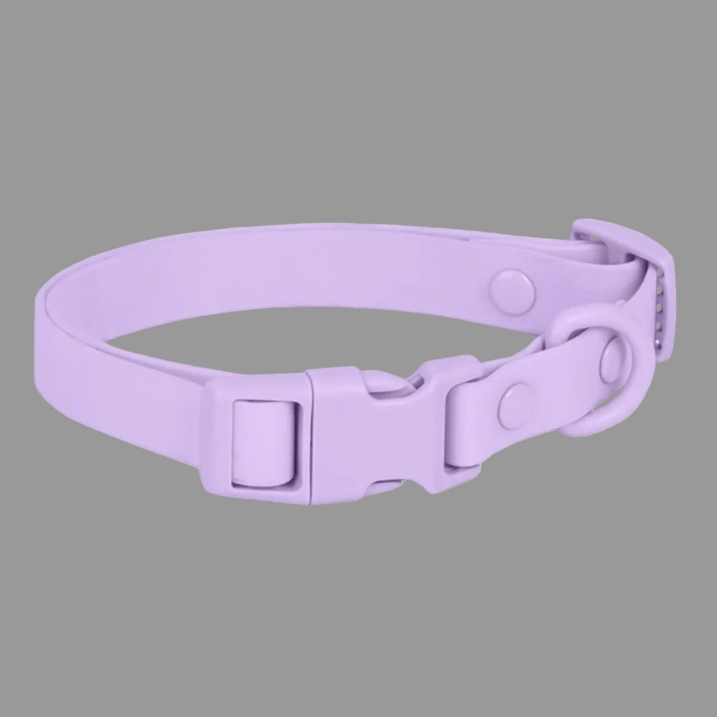collier pour chien violet les détails son magnifiques
