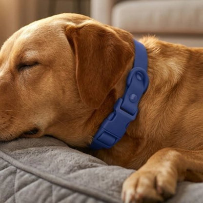 Collier pour Chien vu de profil magnifique