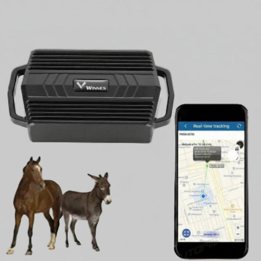 Collier GPS pour chien : boîtier noir avec poignée et application sur téléphone