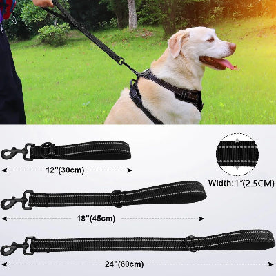 Détails d'une laisse de chien