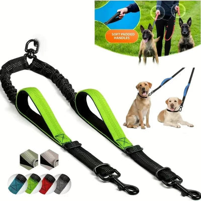 double laisse pour chien couleur verte