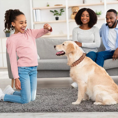 fillette devant labrador collier chien brun