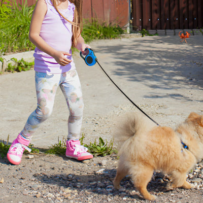 Fillettes contrôle avec laisses pour chiens