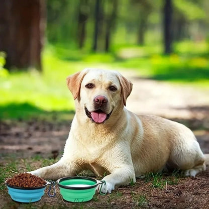 Gamelles de chien pliantes, bleu et vert, couvercle noir et anses pliables