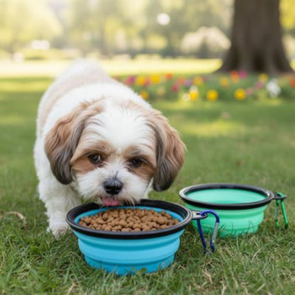 Jeu de gamelle chien pliantes bleu et vert, couvercles noirs, une pour croquettes