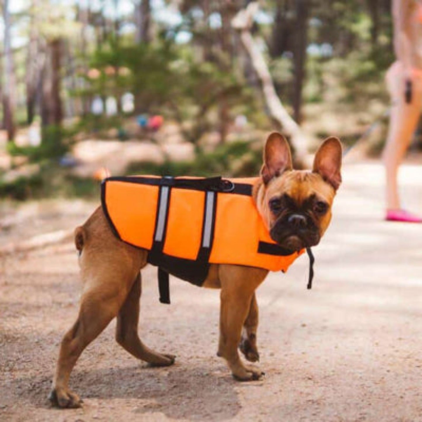 Gilet de sauvetage Aqua orange, sangles noires et attache à l’arrière