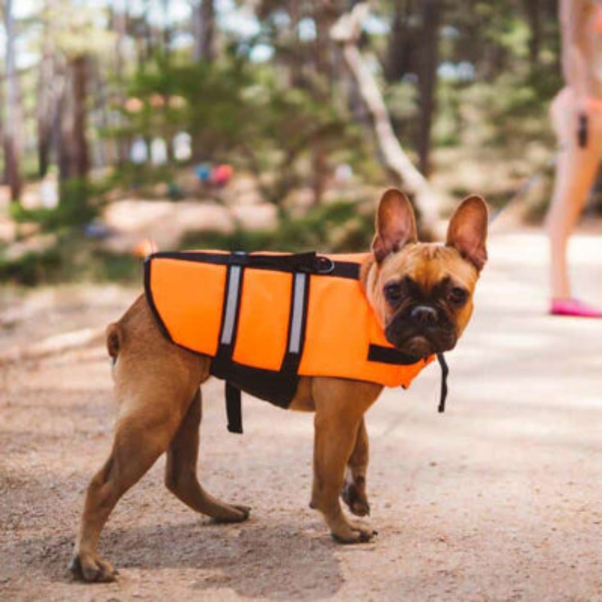 Gilet de sauvetage Aqua orange, sangles noires et attache à l’arrière