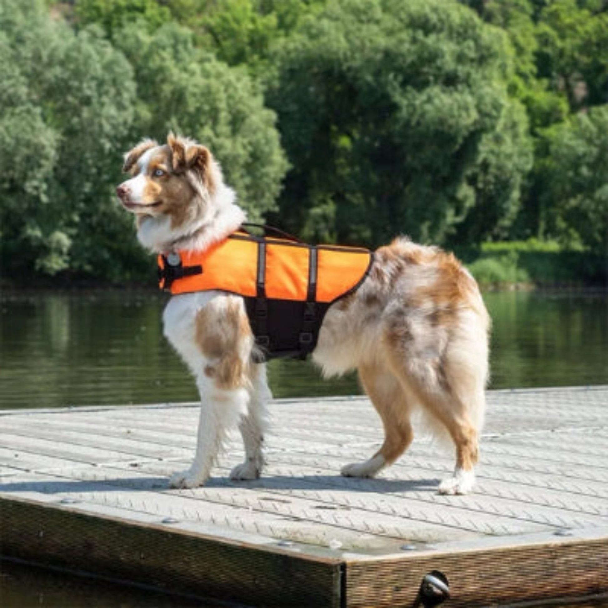 Gilet de sauvetage Aqua orange, sangles noires et panneau de flottaison